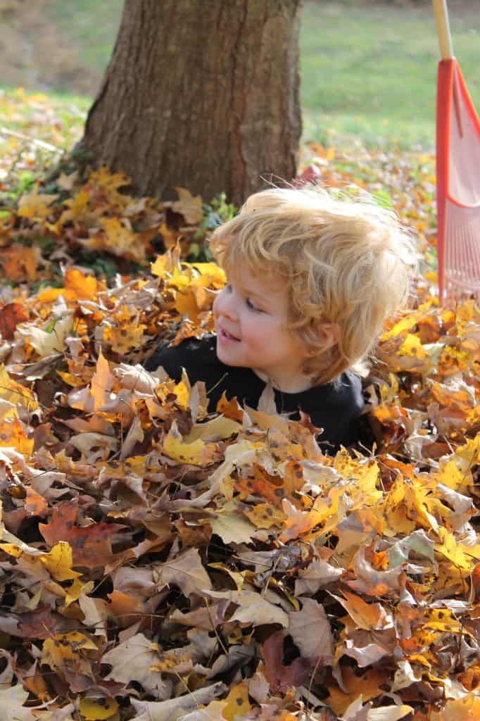 and Jack plays in the leaves... 